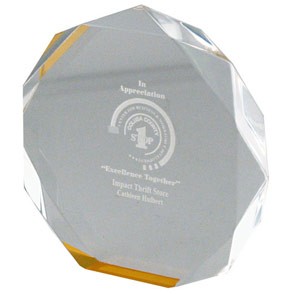 Octagon Acrylic Award 2