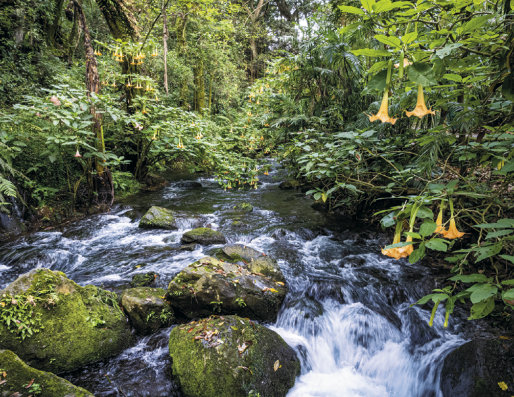 Good Value™ Mexico - Spiral Calendar 32