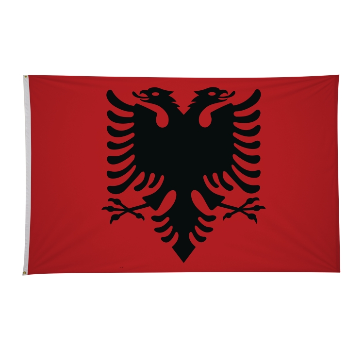 5' x 8' International Flags 204