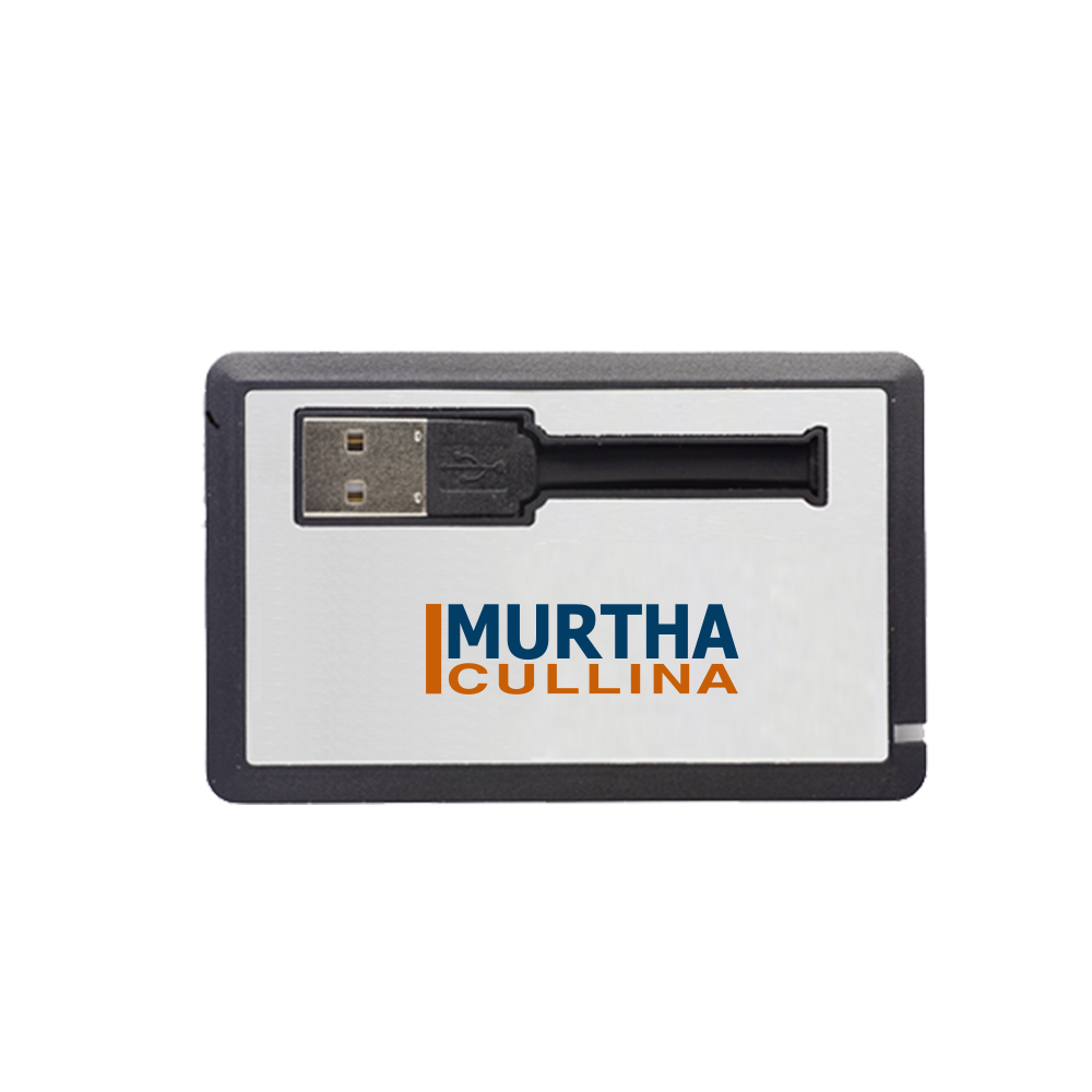 Wenmoth Pull Out USB Card 4