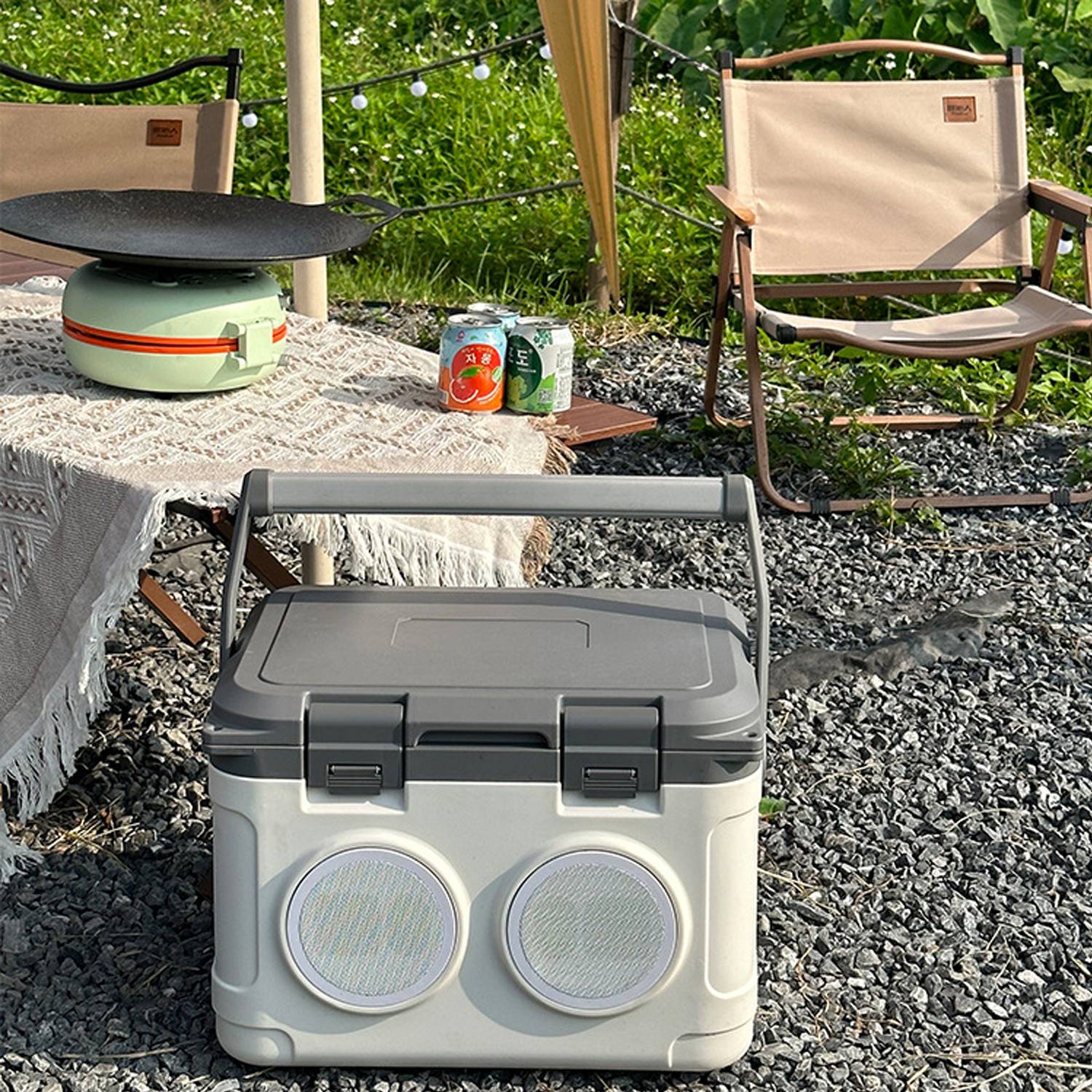 13L New Car Portable Picnic Food Ice Refrigeration Box 4
