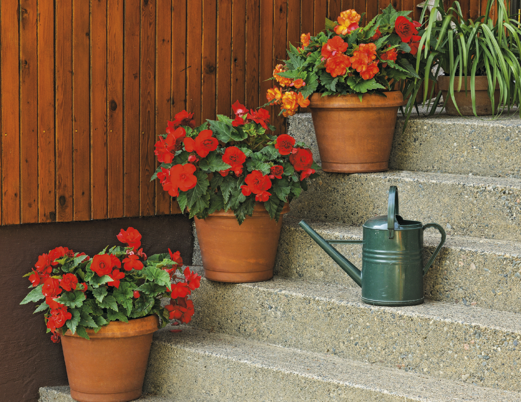 Good Value™ Garden Walk - Stapled Calendar 16