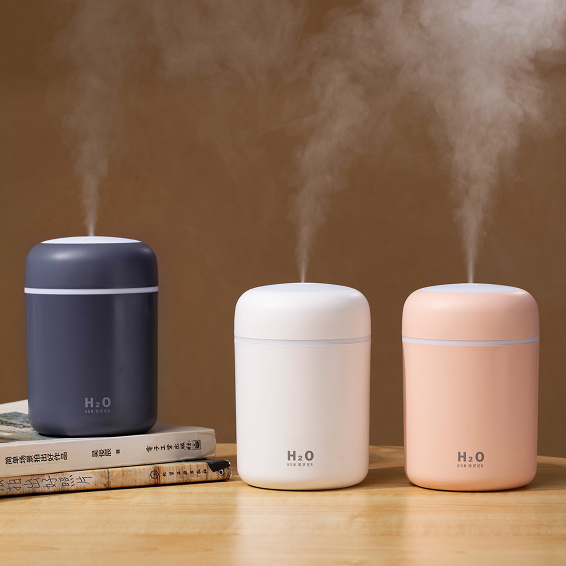 Portable Ultrasonic Humidifier 2