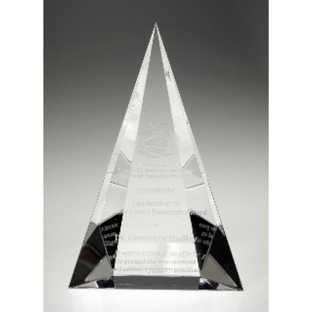 Peak Glass Award 8 "