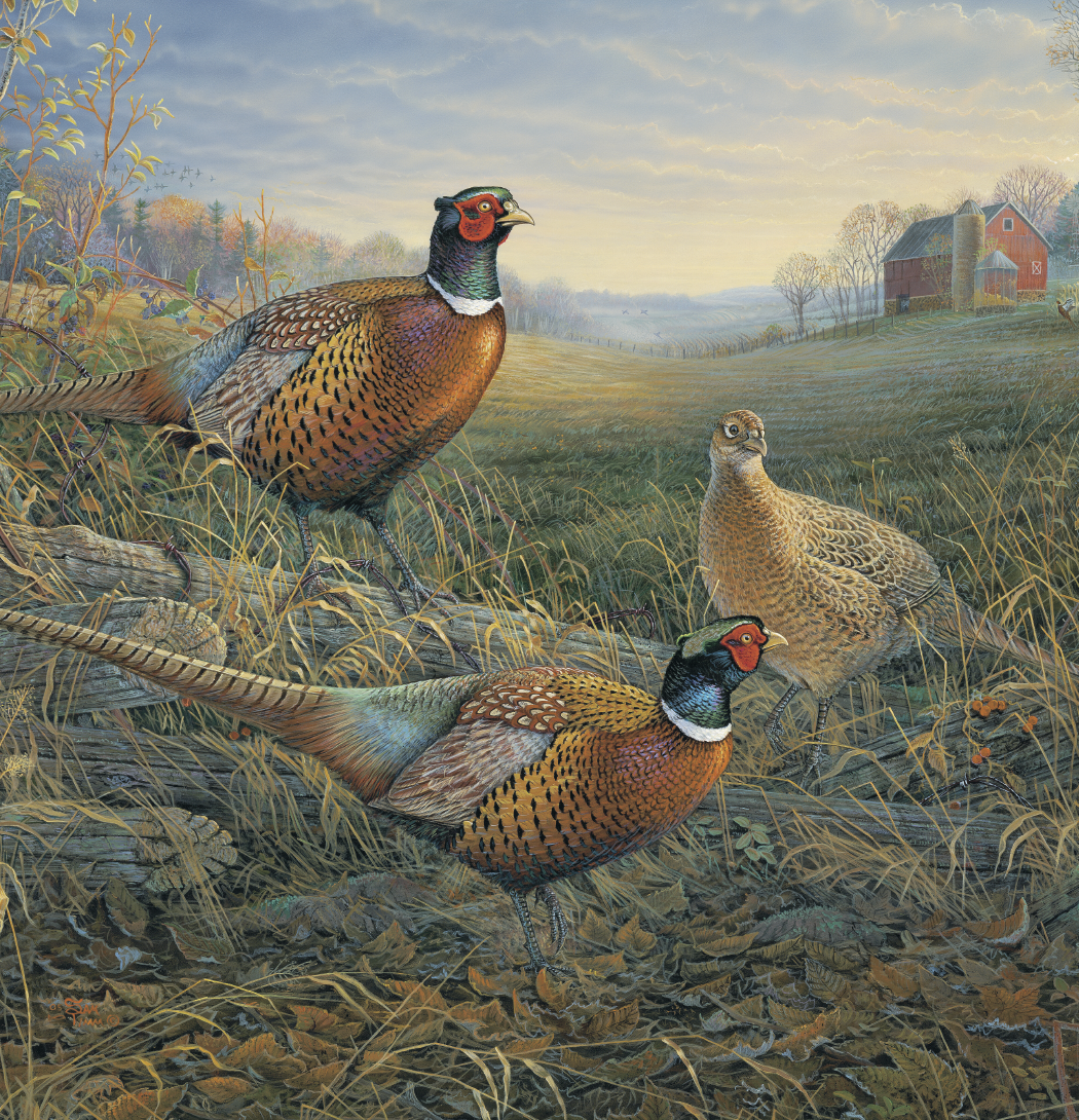 Triumph® Calendars Wildlife Art Calendar 19