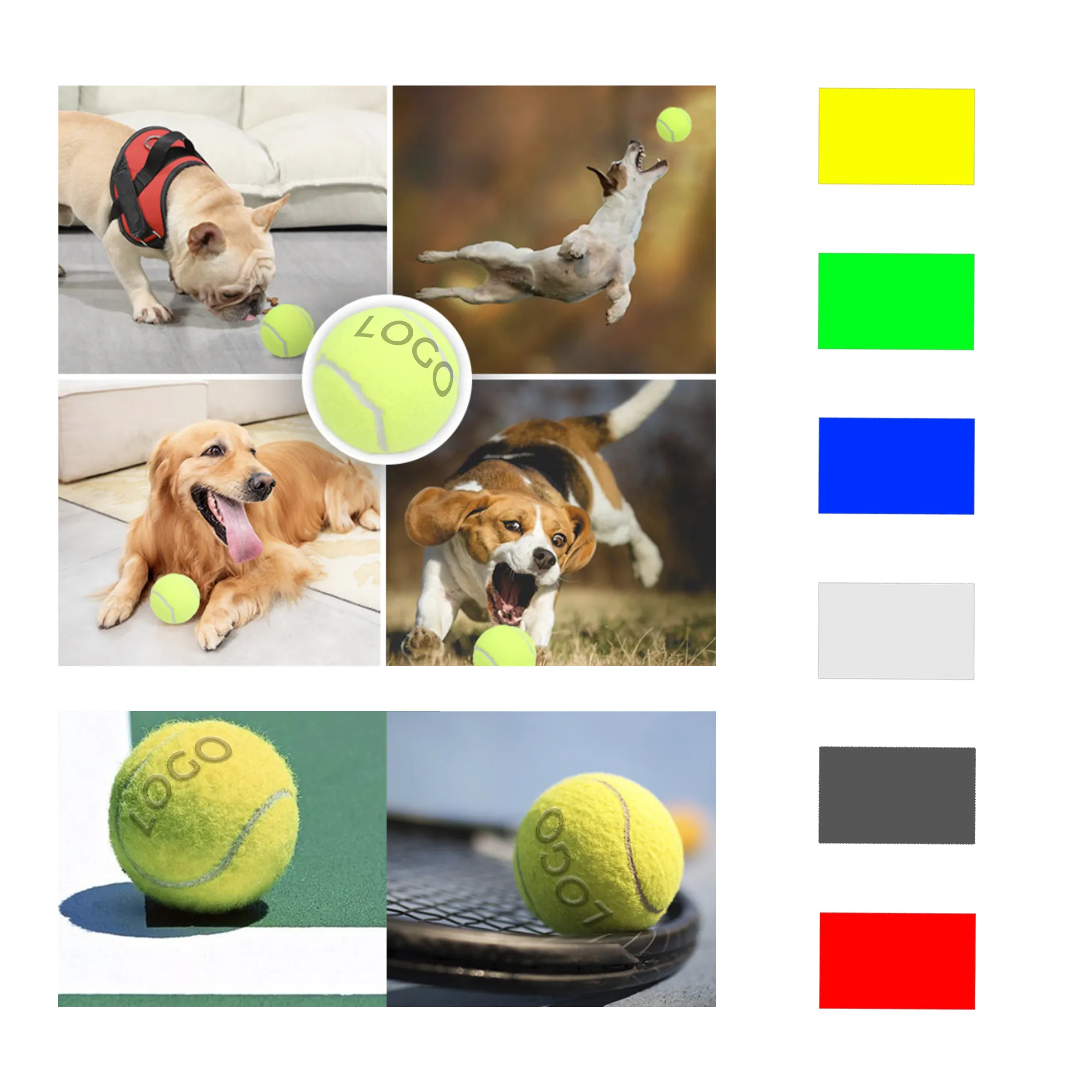 Pet Tennis Ball 4