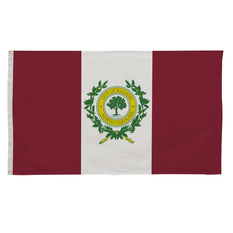 3' x 5' City Flags 94