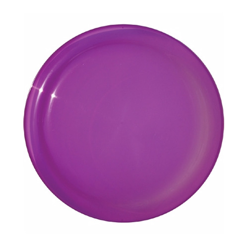 Sun Fun Value Flyer 3