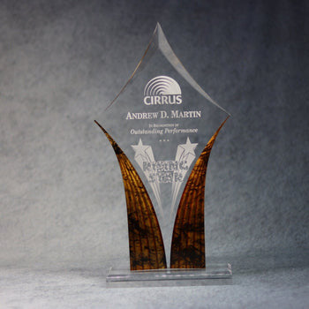 Acrylic Diamond Trophy 4