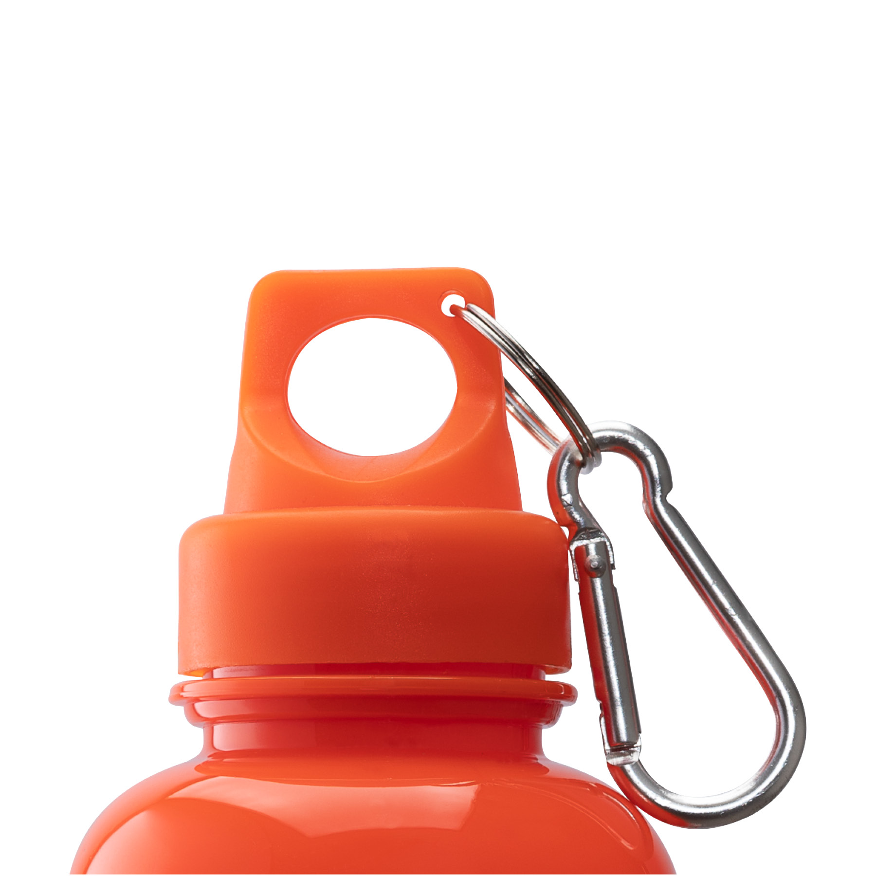 Brio 20 oz. PS Water Bottle w/ Carabiner 41