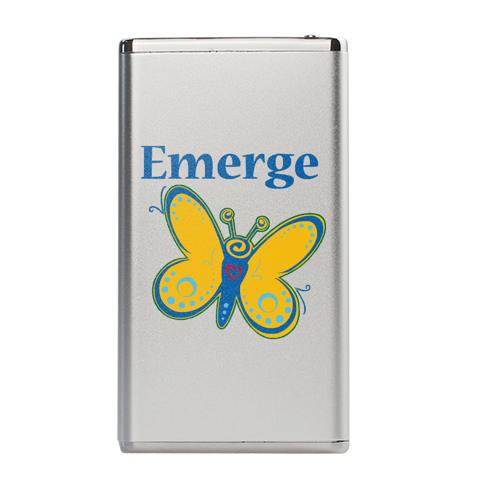 Winnemac Sleek Metallic Slim 3000mAh Power Bank 3