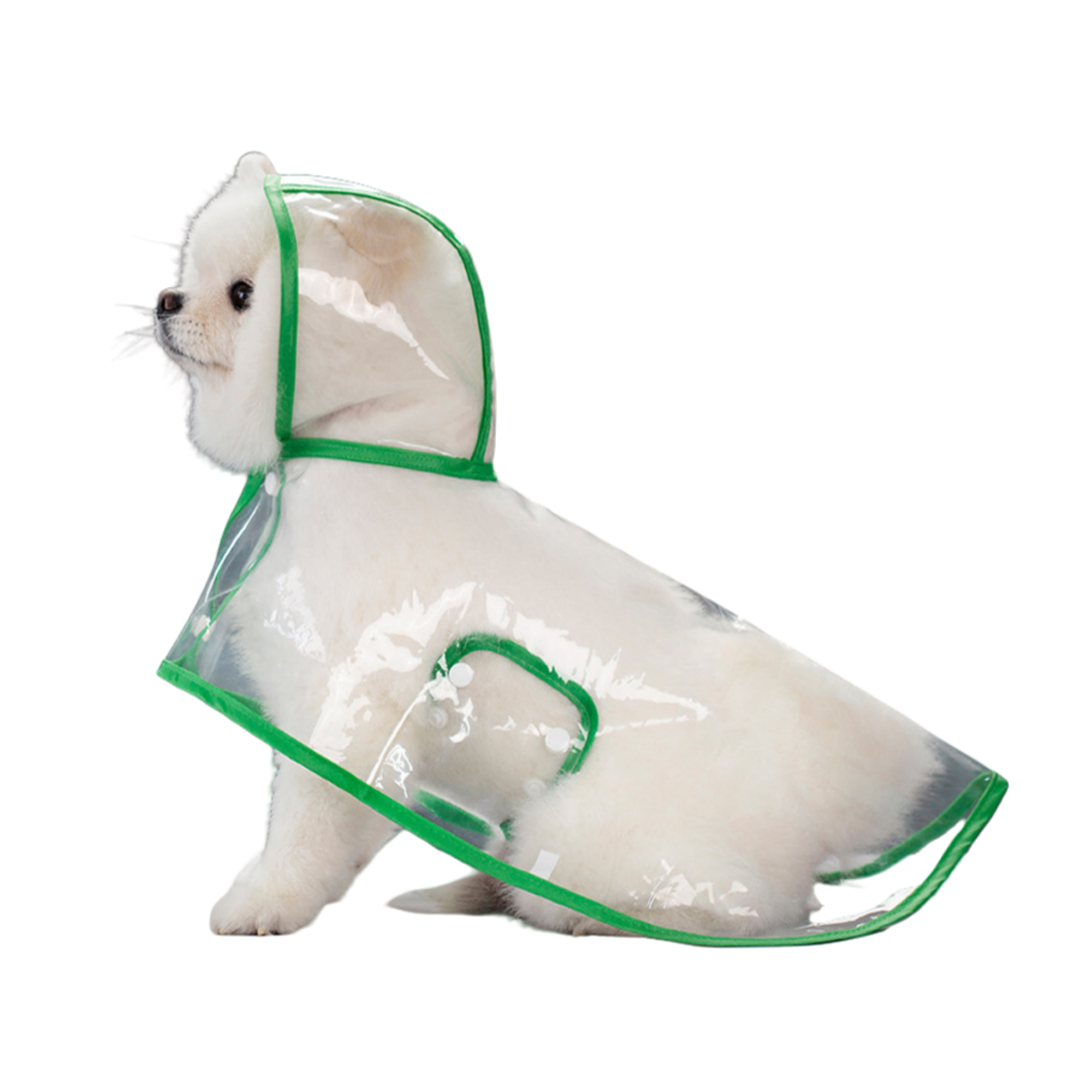 Transparent Pet Raincoat 2