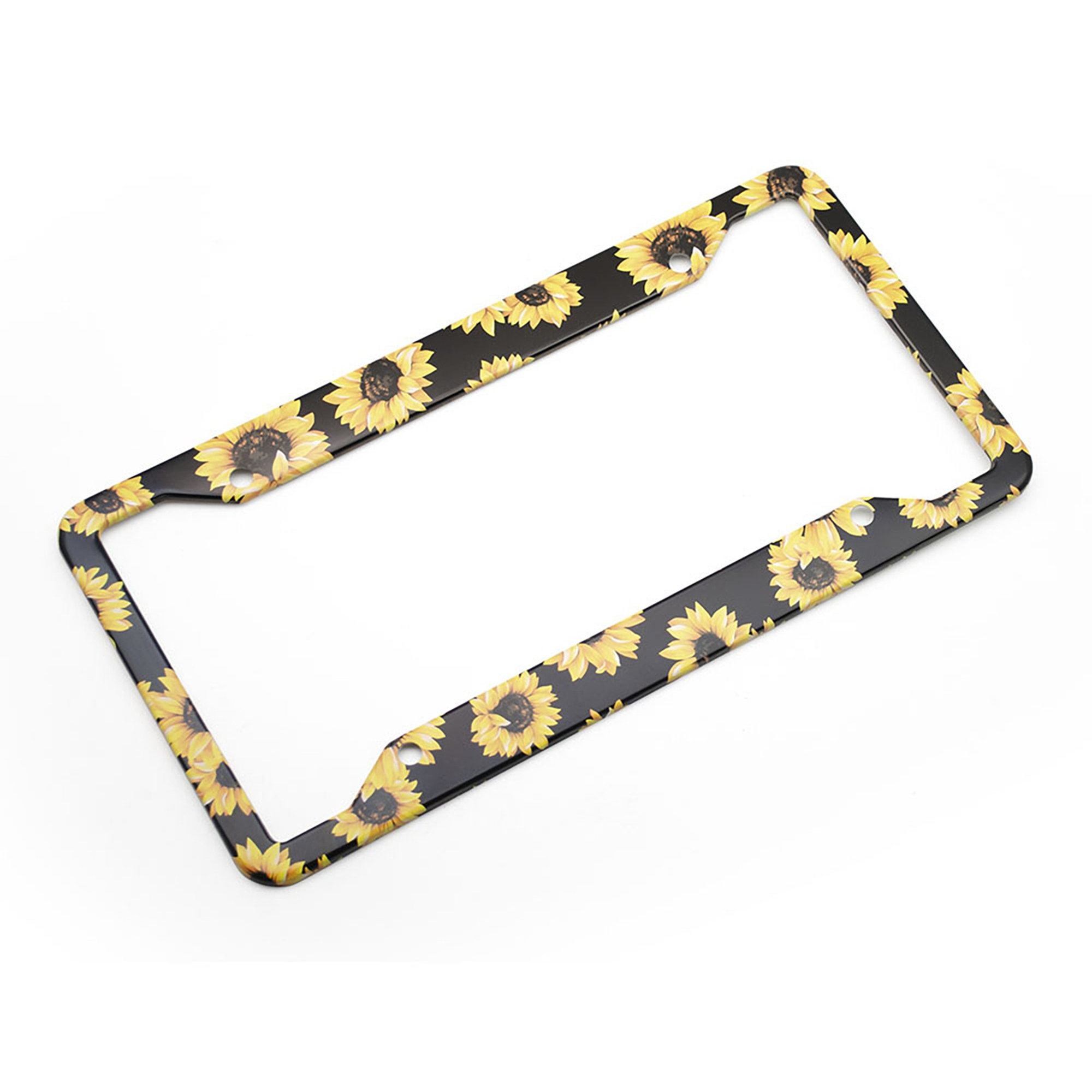 License Plate Frame 2