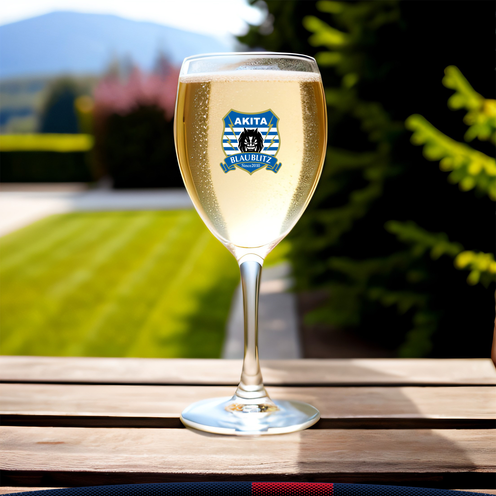 10.5 oz. Delton Goblet Wine Glasses 5