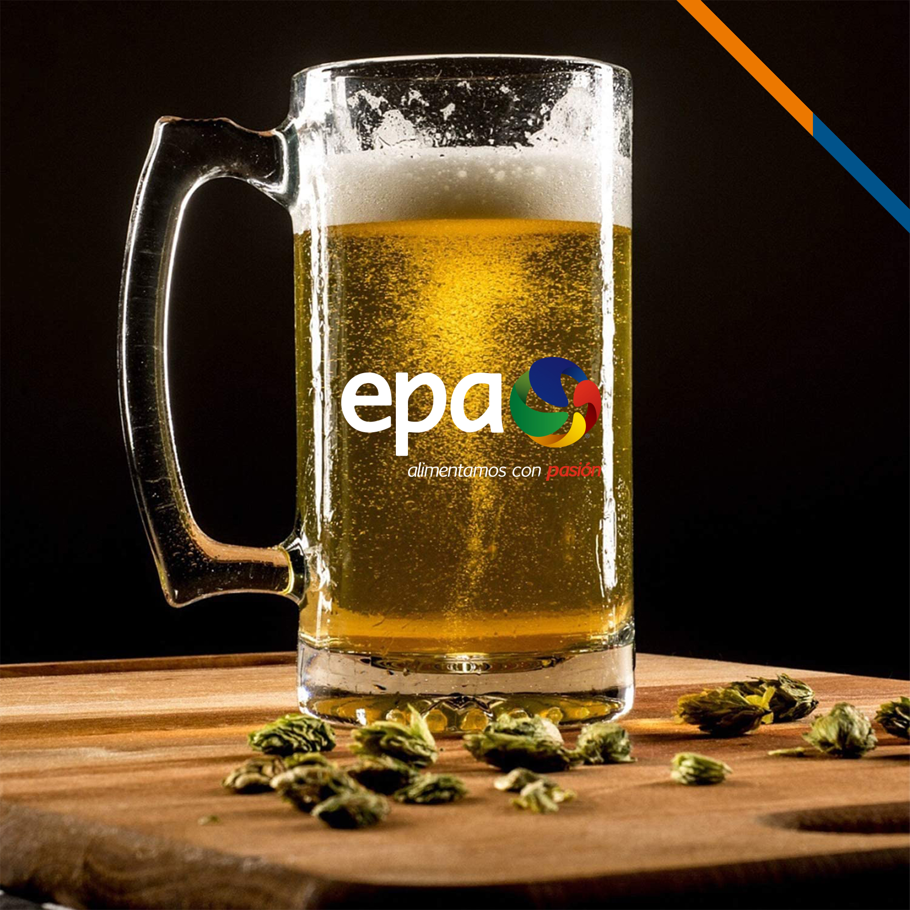 Rodney Pint Beer Steins 10