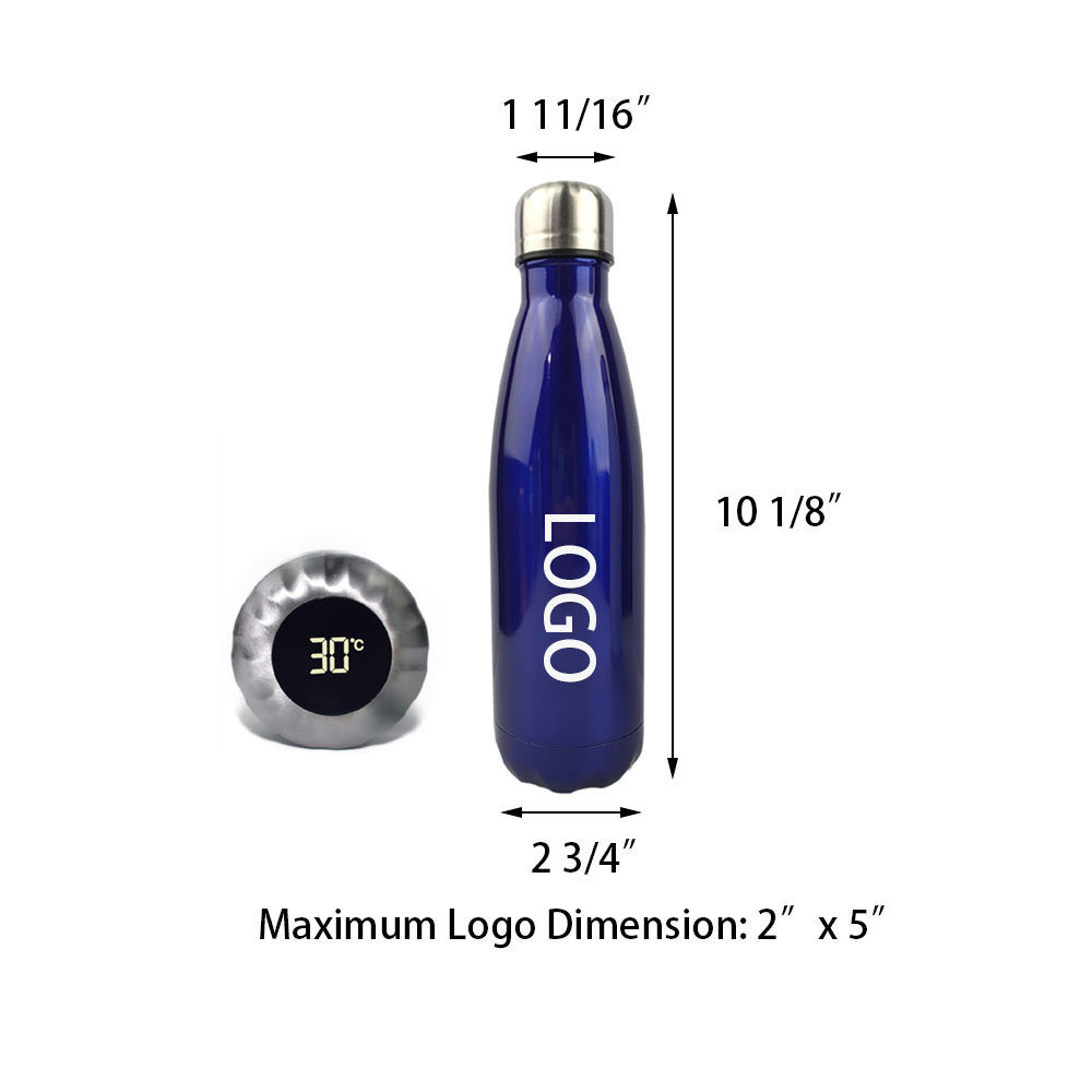 Vacuum Cola-type Insulated Bottle 2