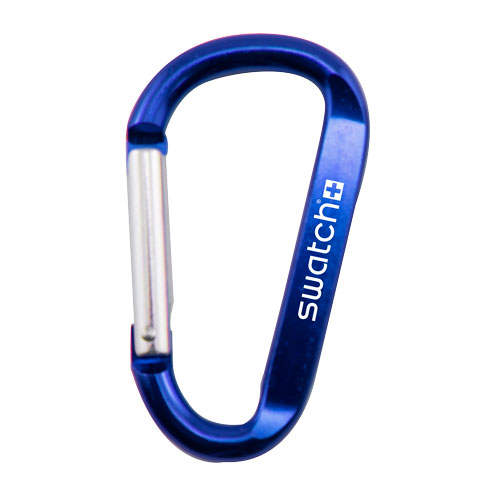 Carabiner Clip Keychain 2