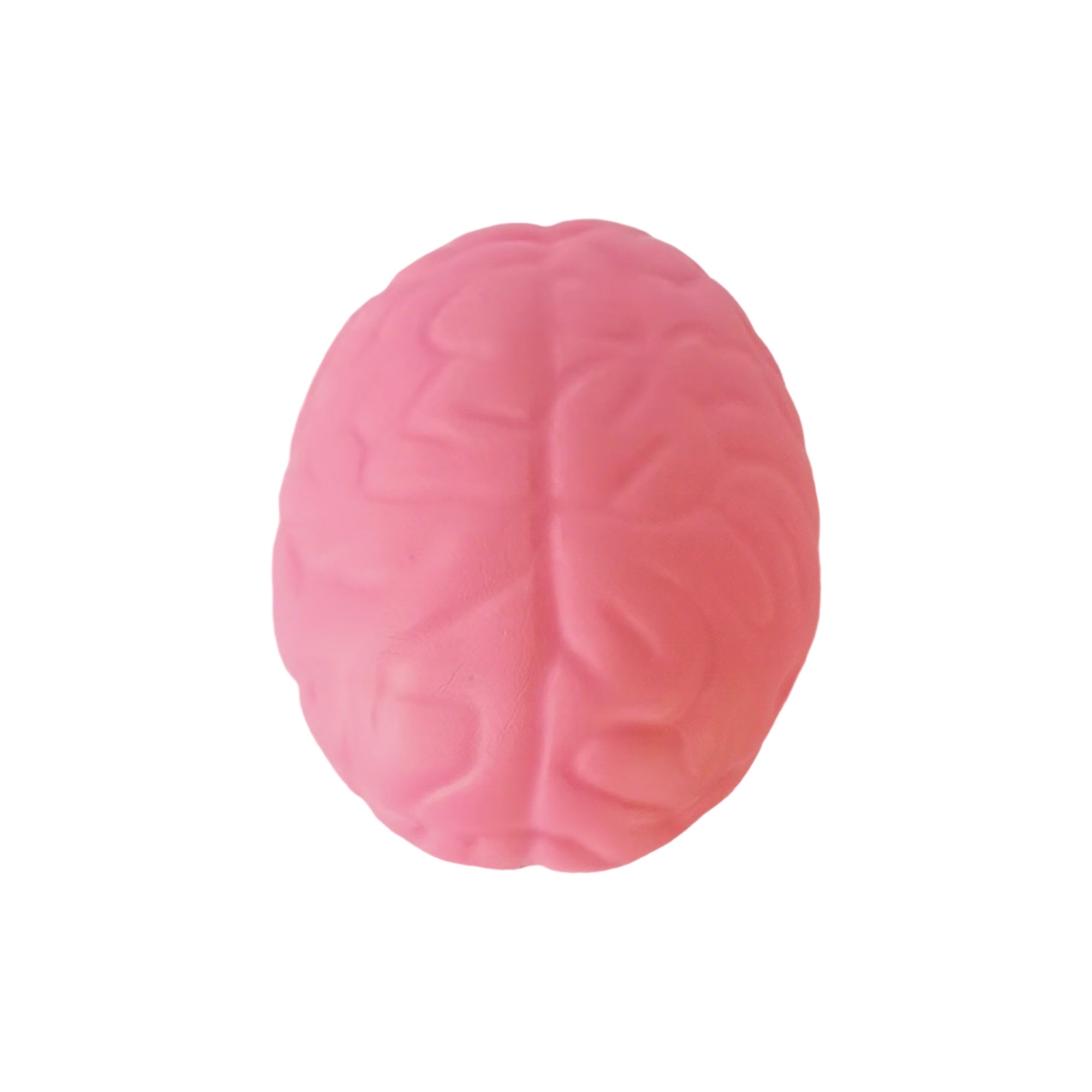 Brain Shape Foam Stress Reliever For Office And Education Use 7