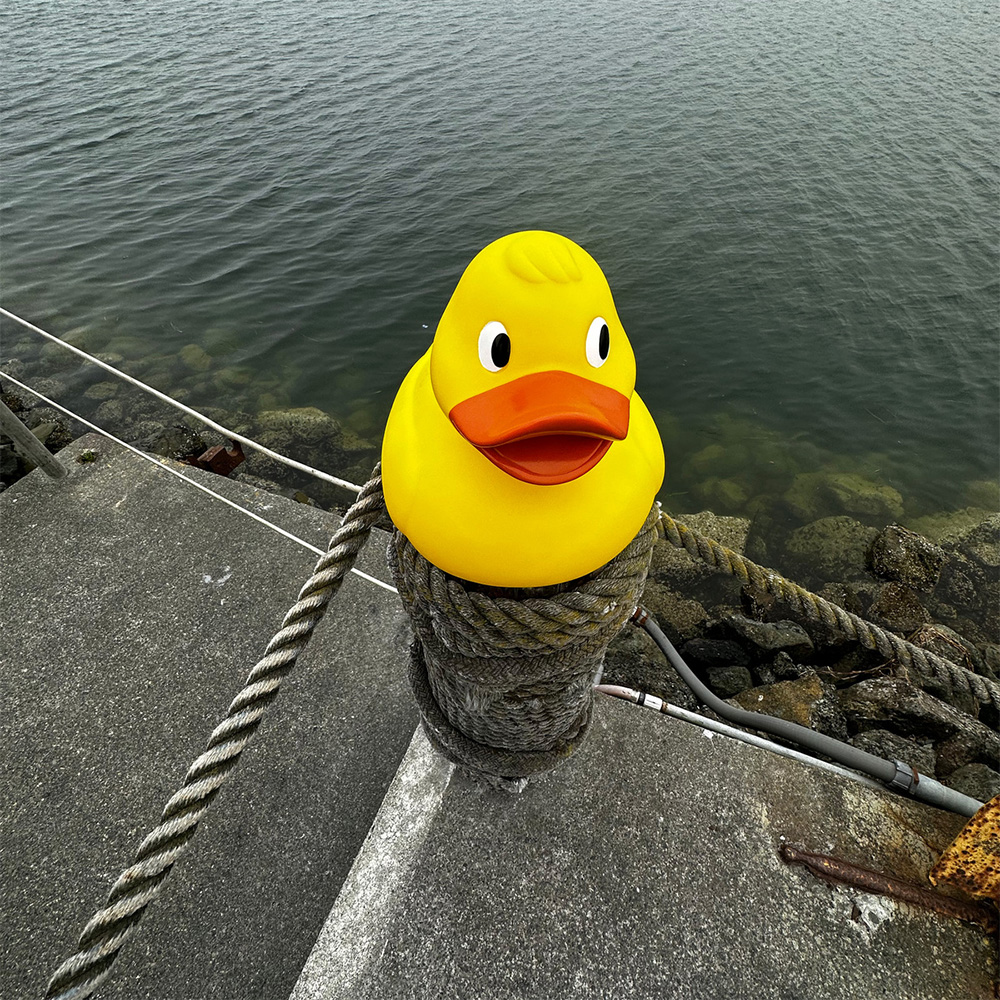 Jumbo Duck 20