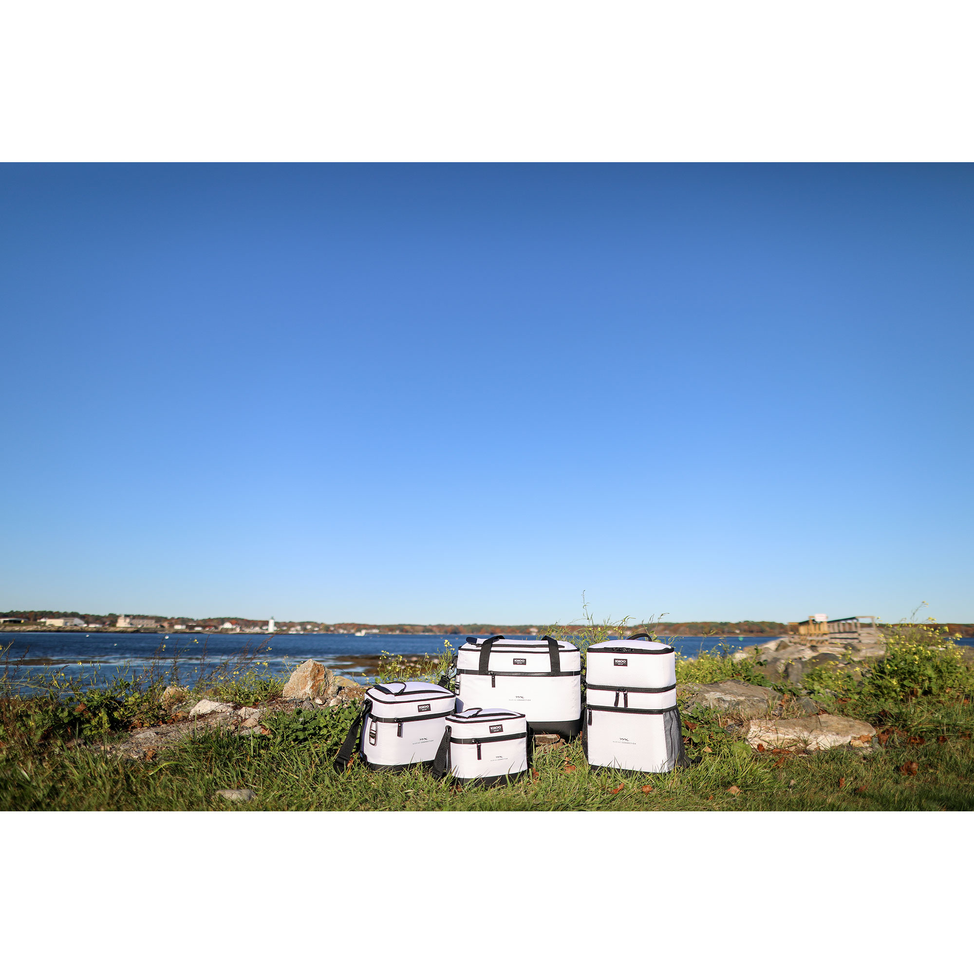 Igloo® Maddox Cooler 6