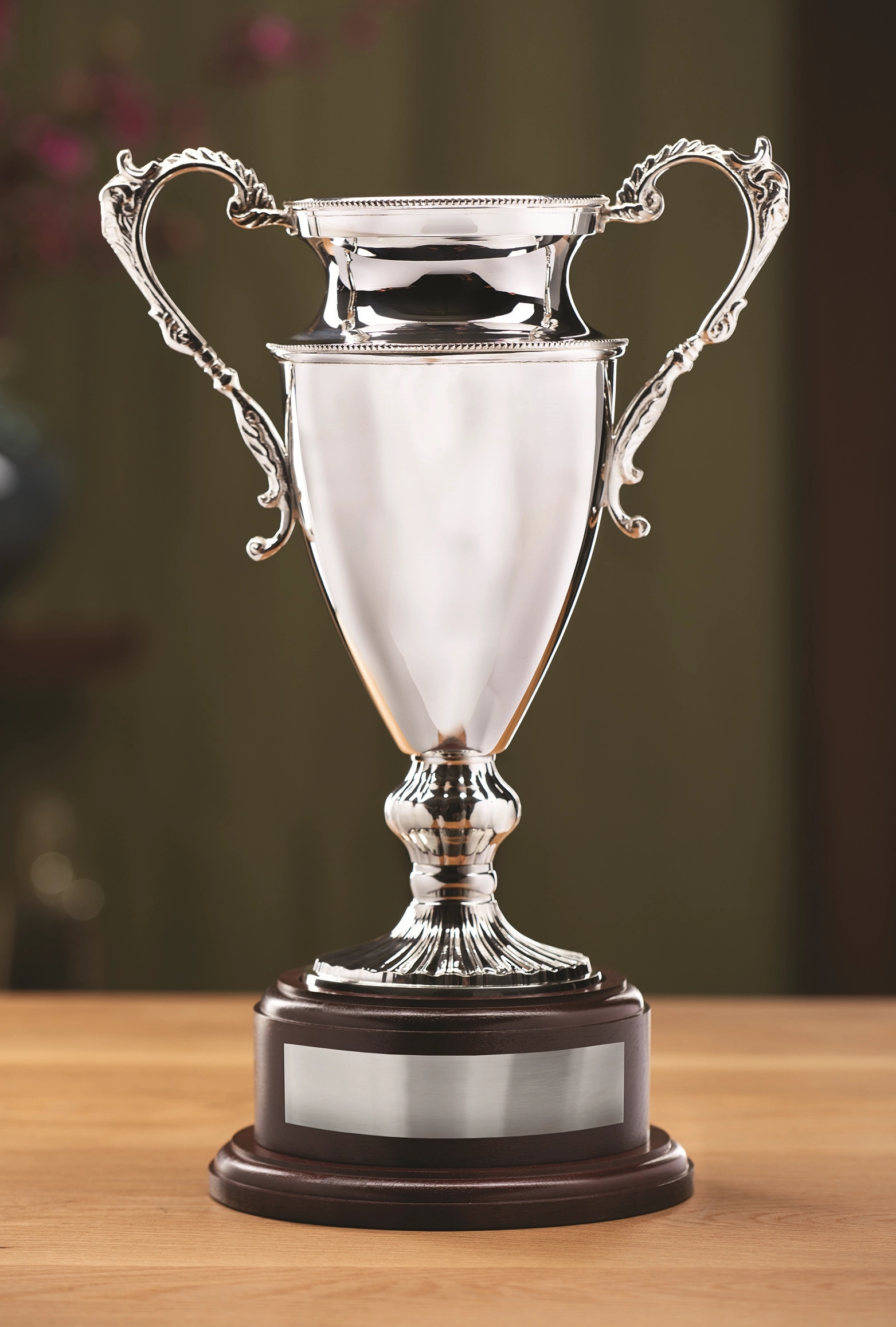 Harrington Trophy Cup 2