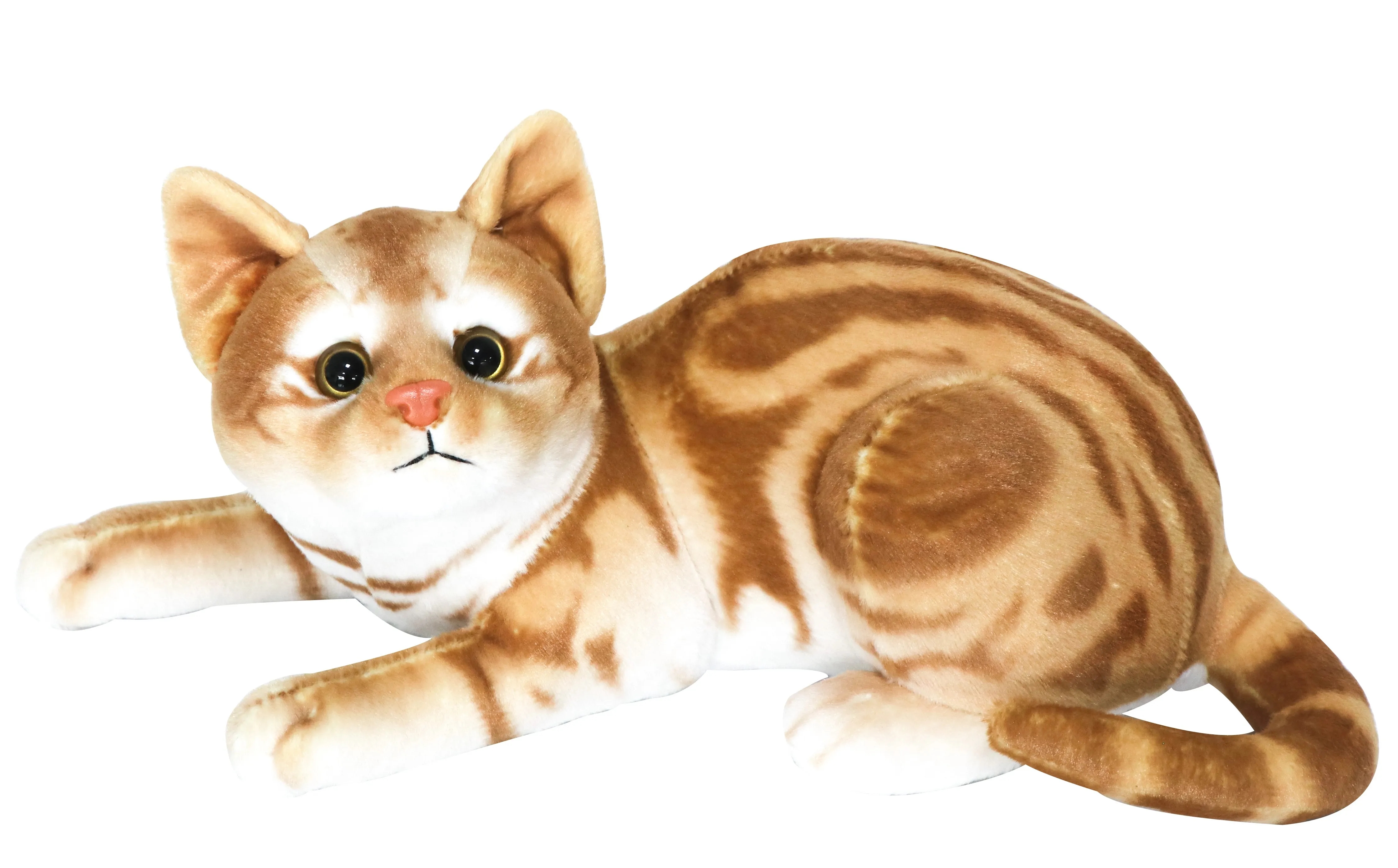 Laying Cat 2