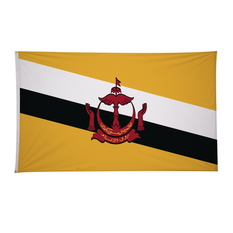 6' x 10' International Flags 216