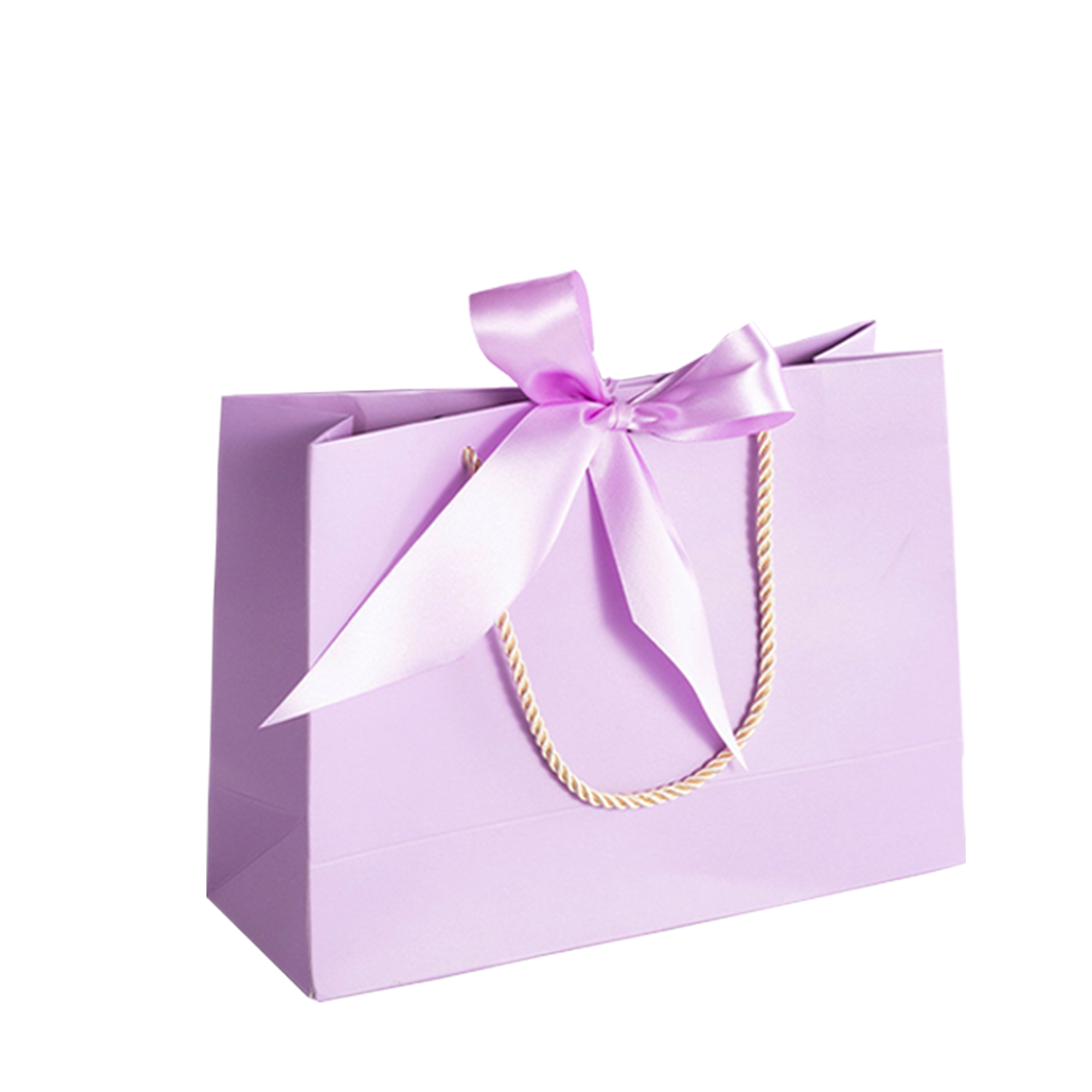 Reusable Gift Bag With Reinforced Bottom And Ribbon Bow 2