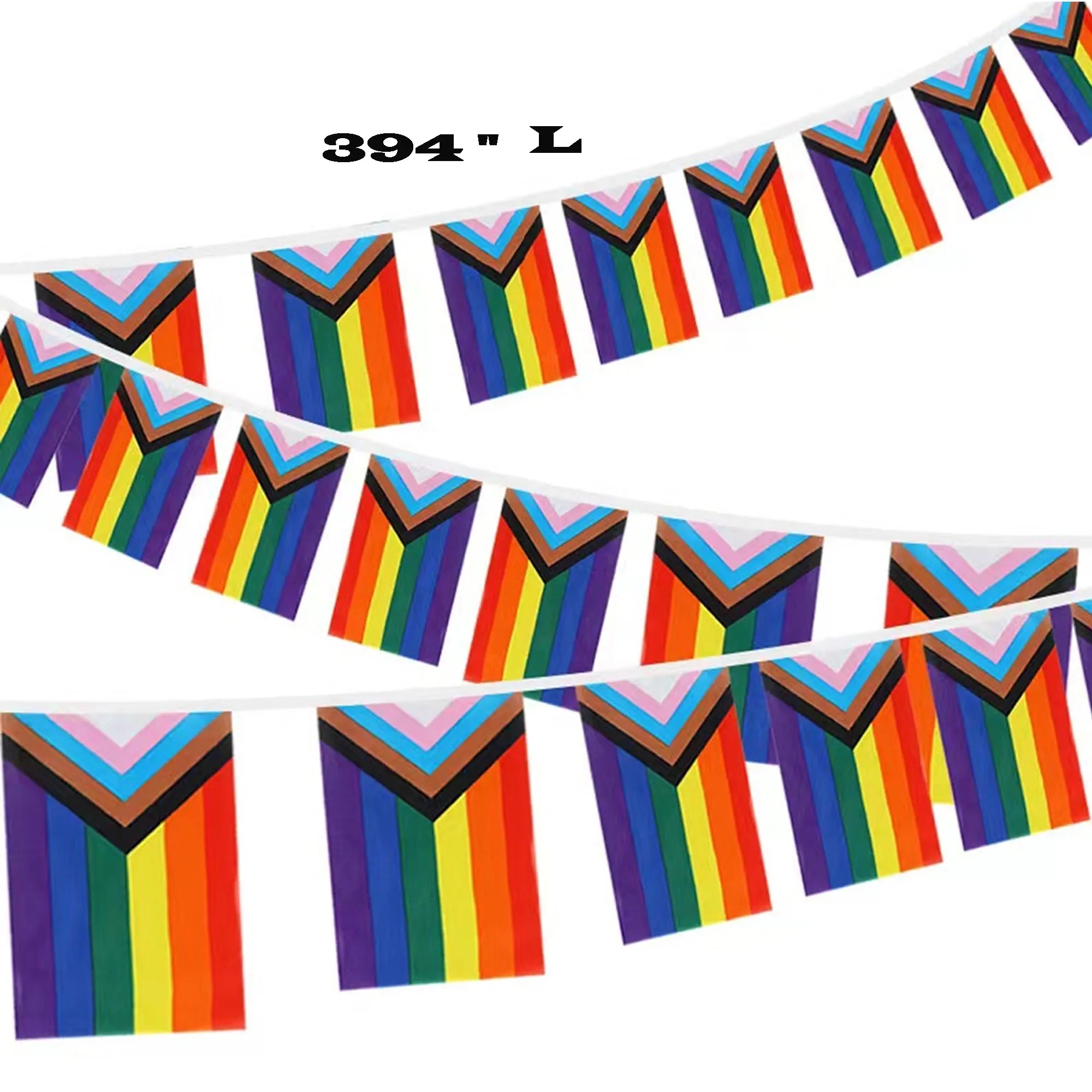 Progressive Pride LGBTQ Flags Banner 4