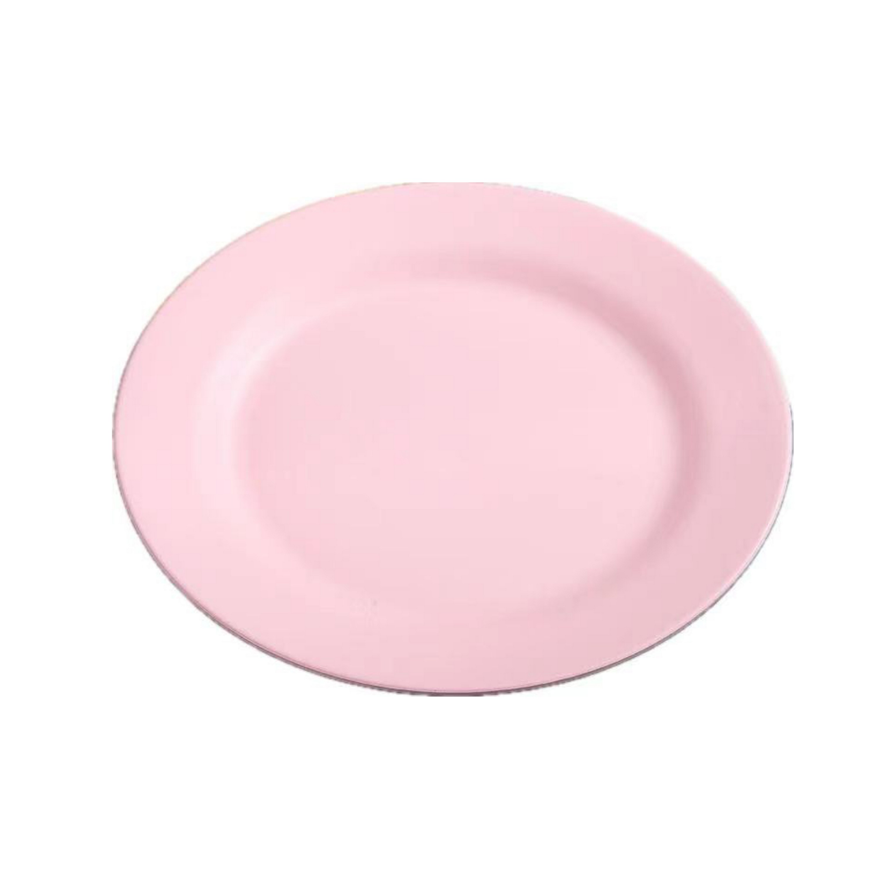 9.8" Wheat Straw Plates 6