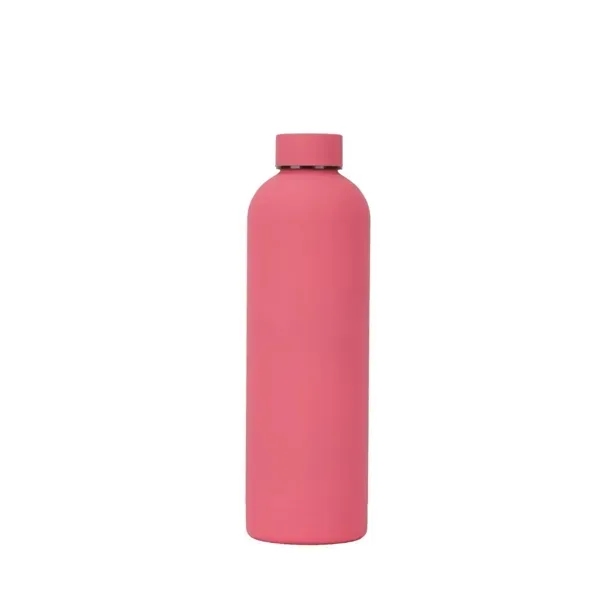 Stainless Steel Insulated Water Bottle with 17 oz Mouth 14