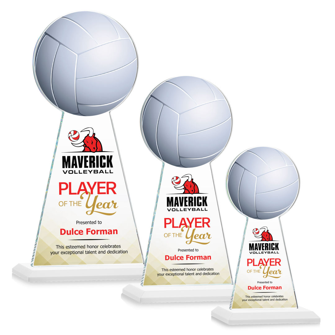 Edenwood Volleyball VividPrint™ Award - White