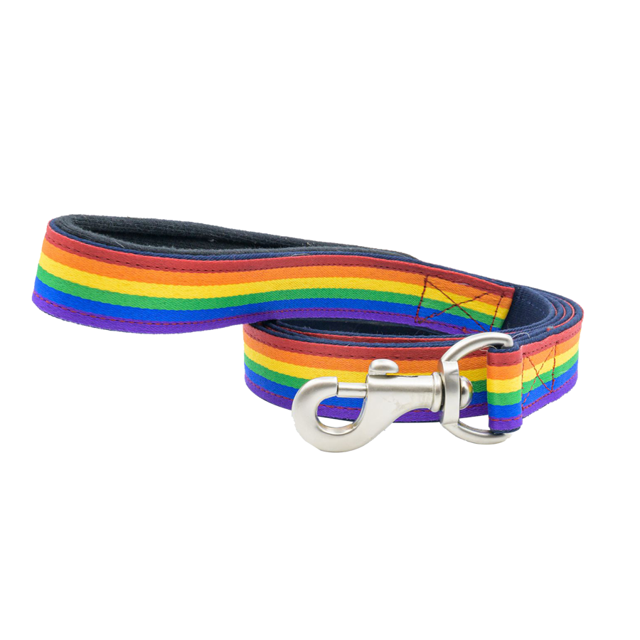 Rainbow Polyester Leash with Snap Carabiner and Loop Handle