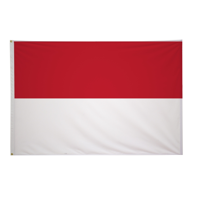 4' x 6' International Flags 85