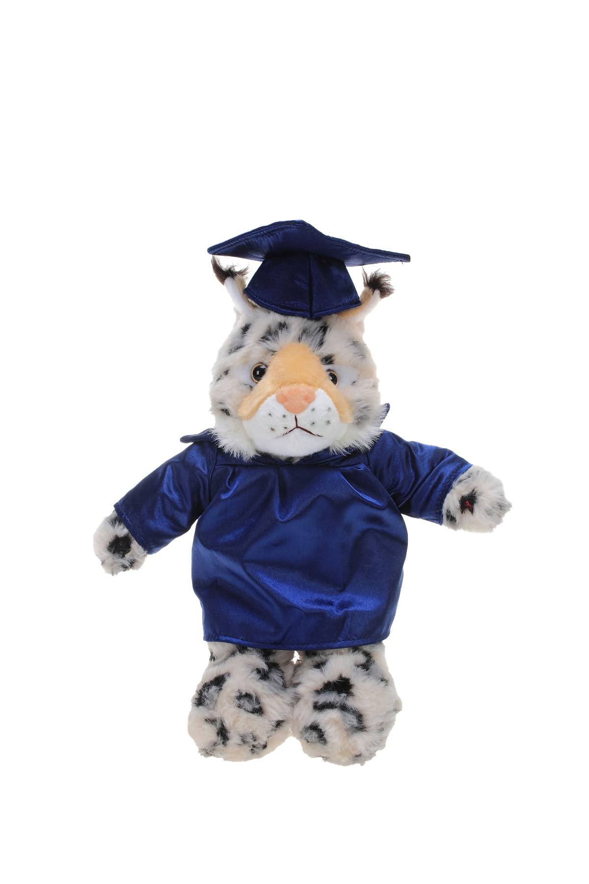 Soft Plush Wild Cat (Lynx) in Graduation Cap & Gown 4
