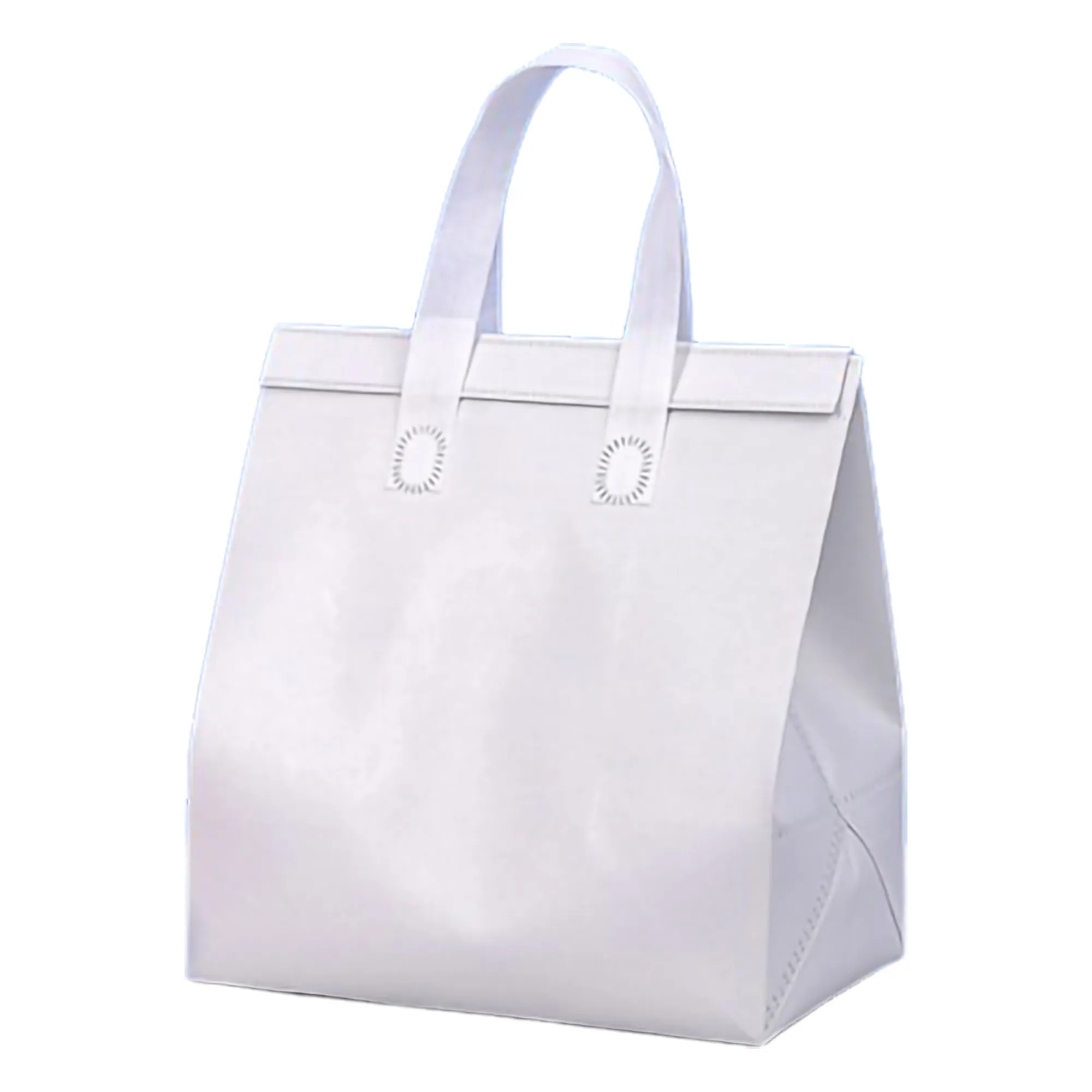 Laminated Non-woven Protable Cooler Insulation Bag MOQ50 7