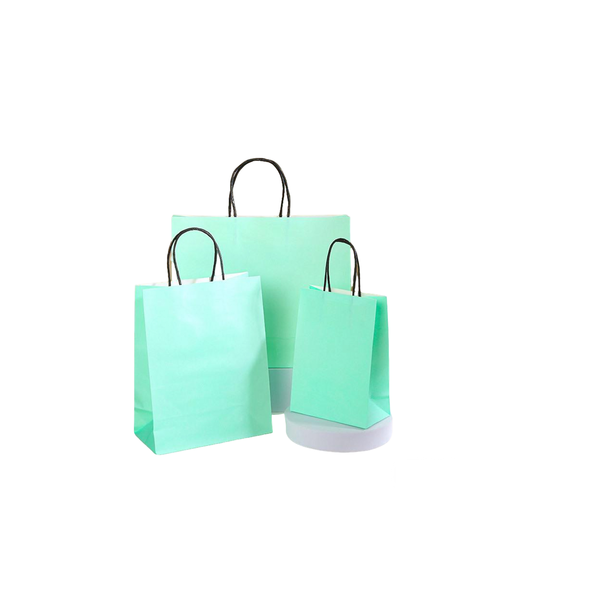 Ink Absorbent Paper Shopping Bag With Twisted Handle 6 x 3.15 x 8.25" 4