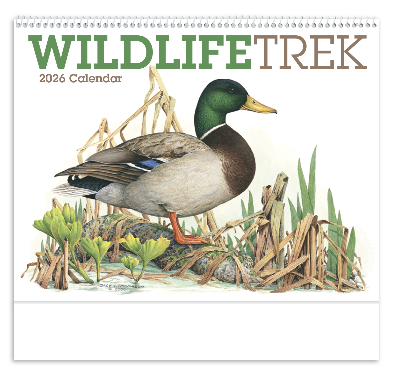 Good Value™ Wildlife Trek - Spiral Calendar 30