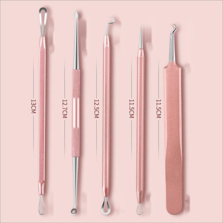 Blackhead Remover 5pcs Kit with Portable Box 3