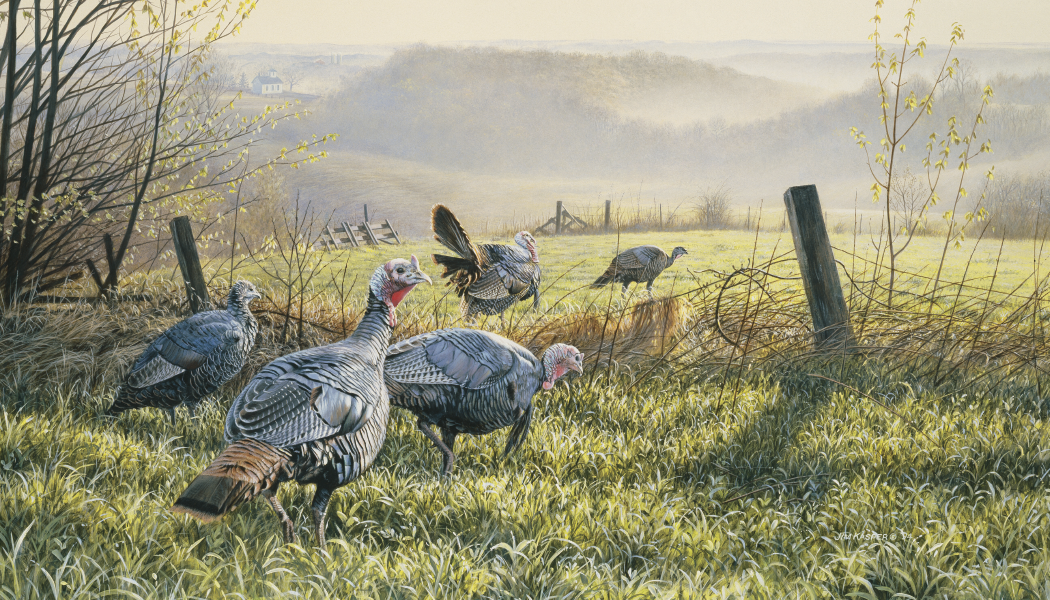 Triumph® Calendars Wildlife Art Calendar 8
