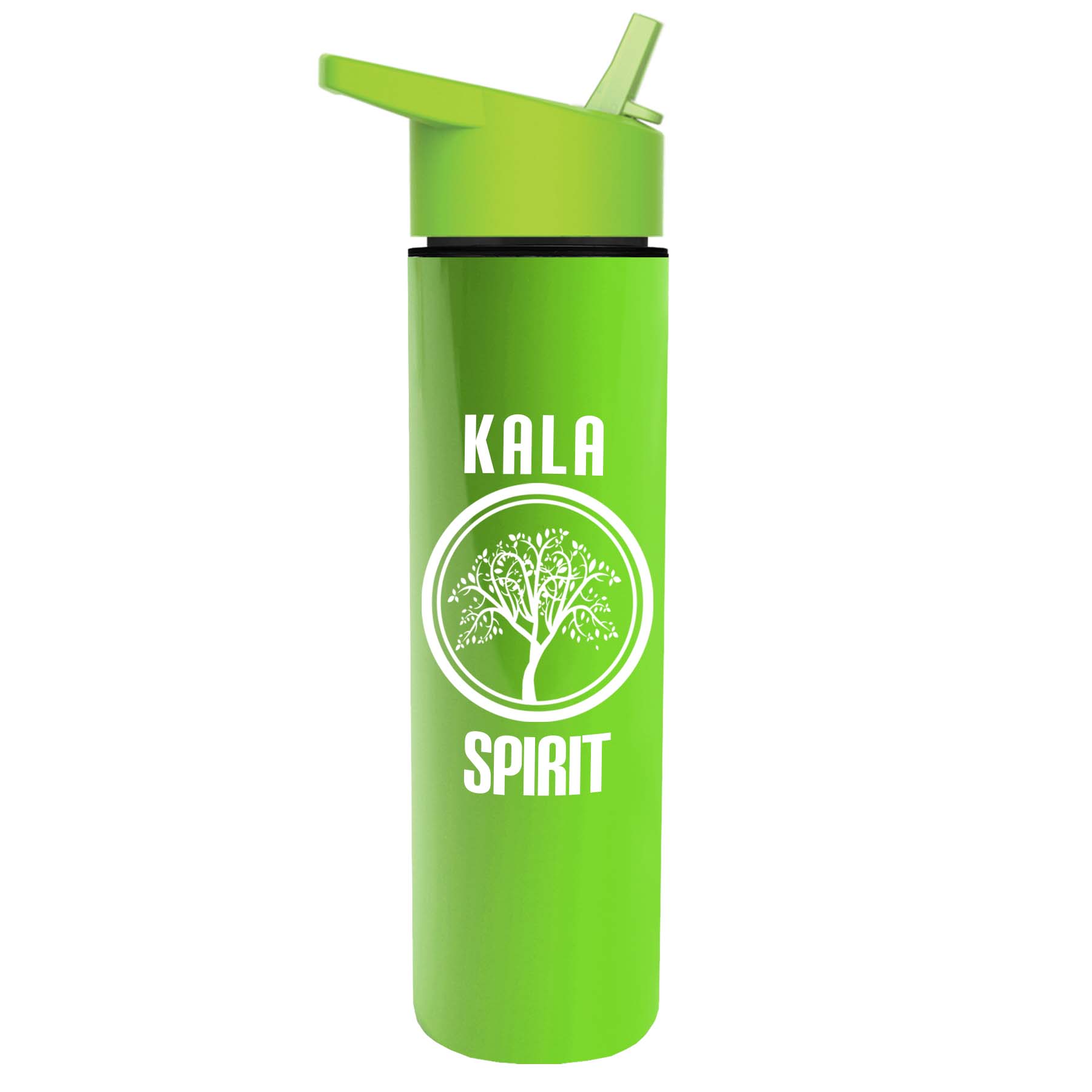 The Chiller - 16 oz. Double Wall Insulated Bottle with Flip Straw 12