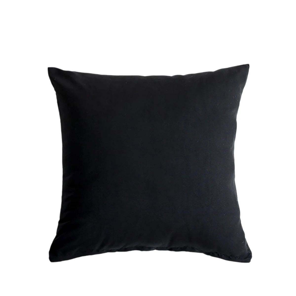 Soft Velvet Pillow Cover 18x18 for Bedrooms and Couches 23