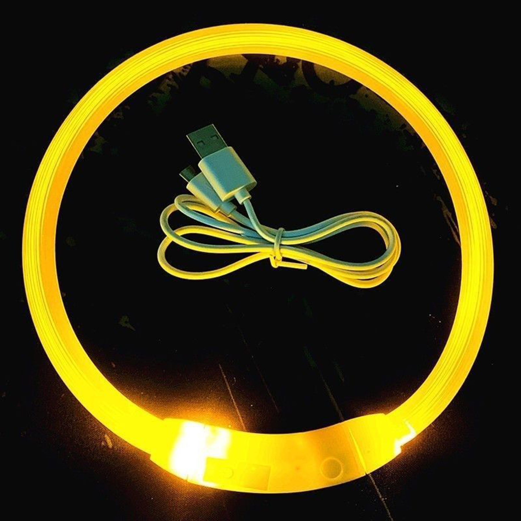 Led Light Dog Collar 2