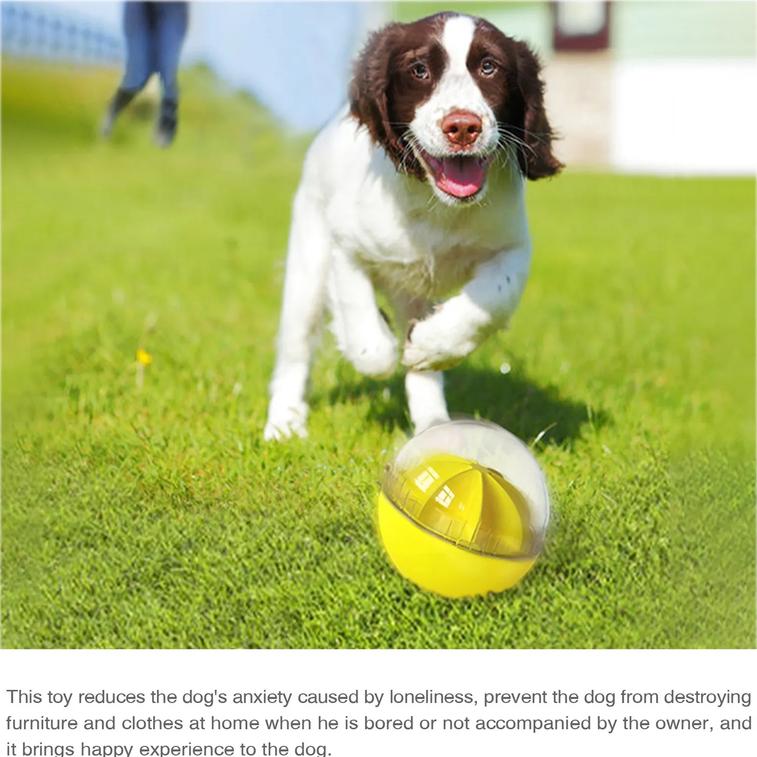 Adjustable Treat Dispensing Pet Ball 7