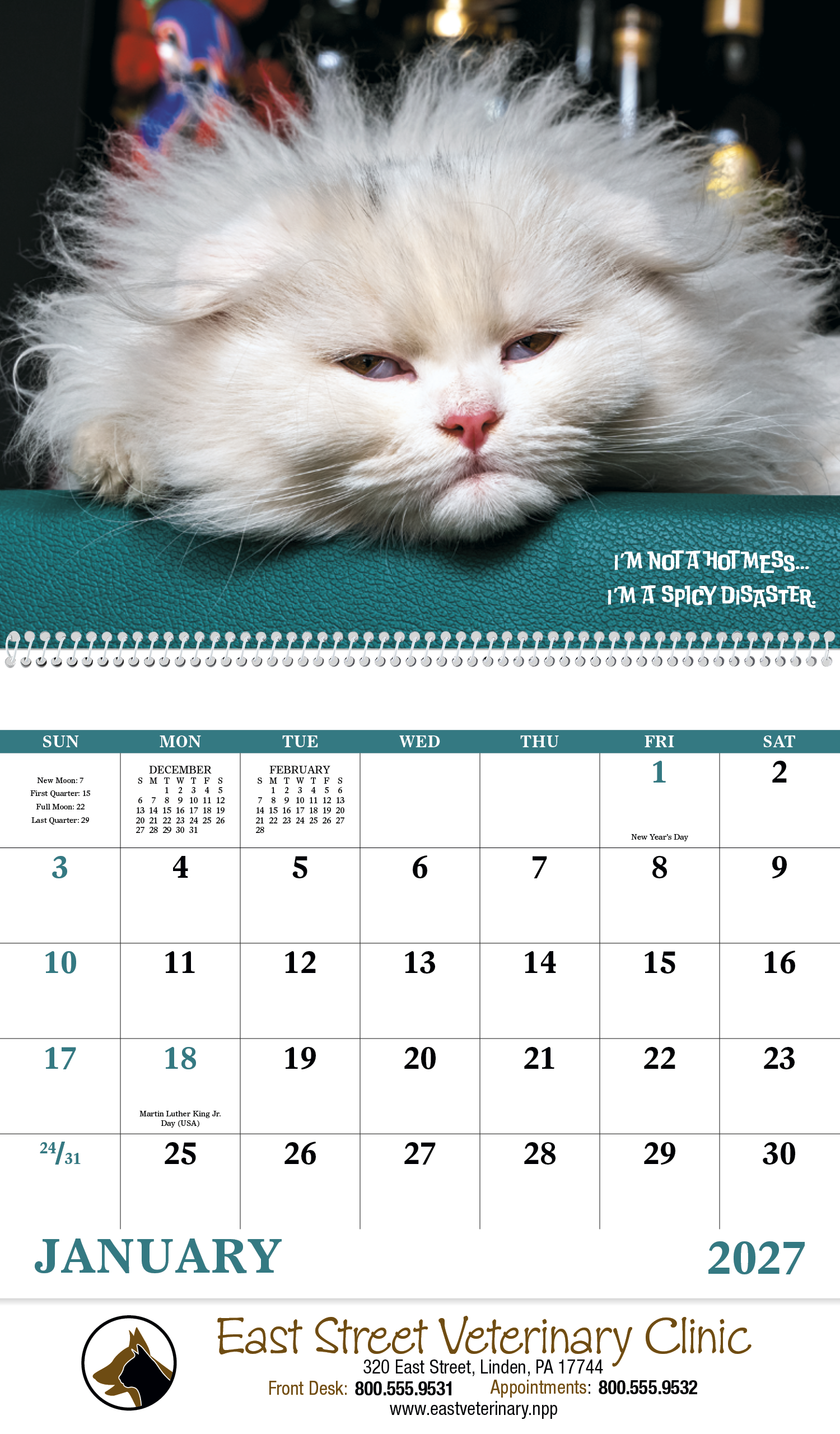 Good Value™ Pets with Attitude - Spiral Calendar 24