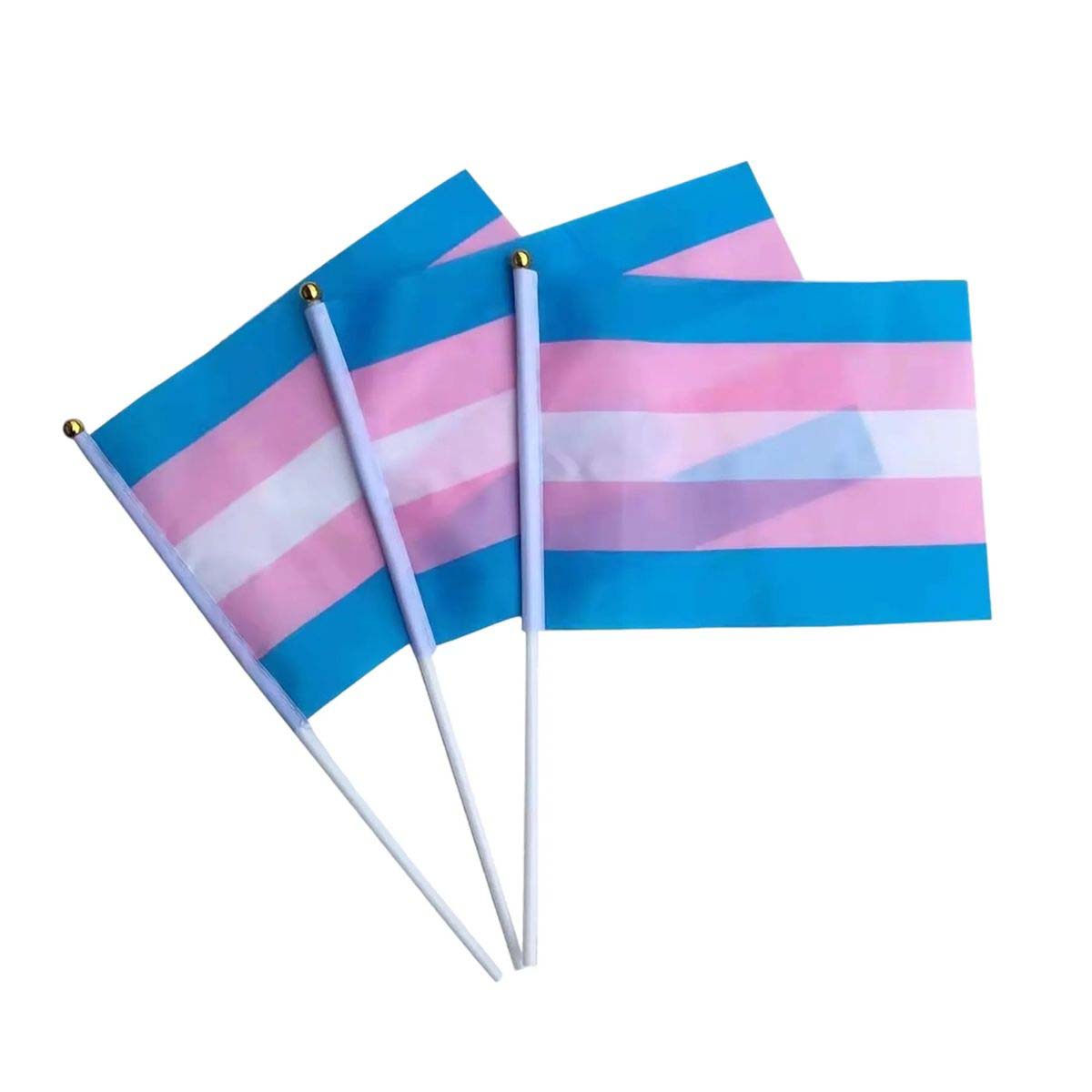 Mini Progress Pride Rainbow Flag for Celebrations 9
