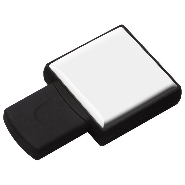 1243FMS - Flash Memory Drive V2.0 1
