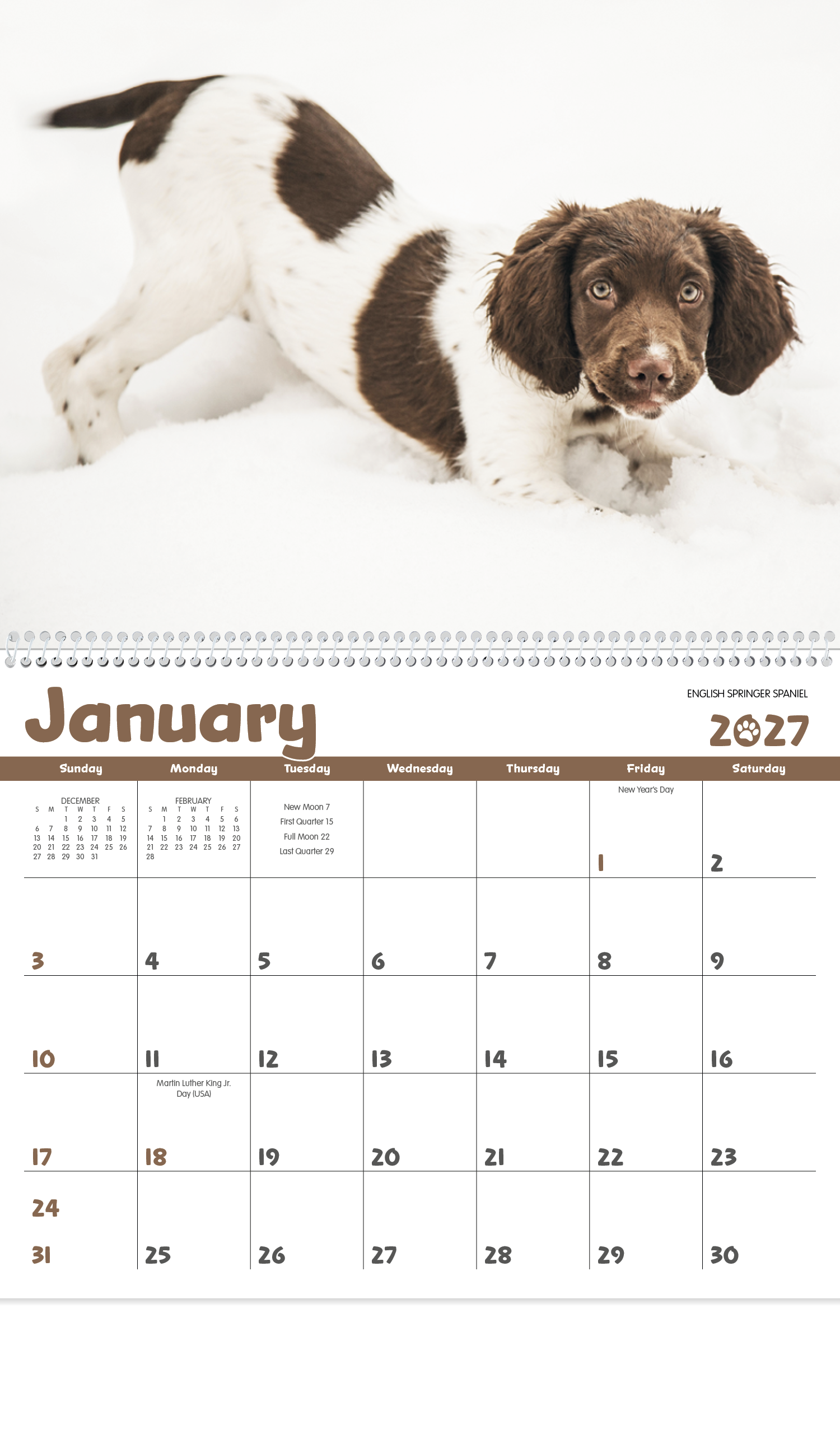 Triumph® Calendars Puppies Calendar 49
