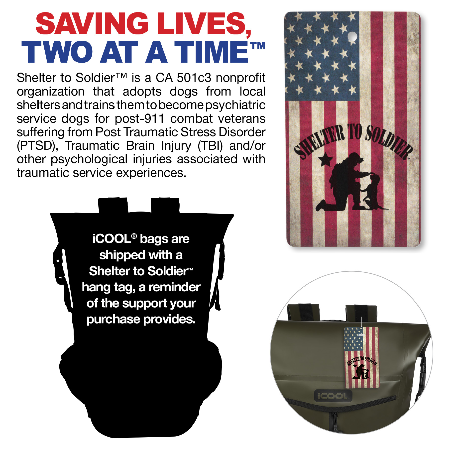 iCOOL® Castle Peak TPU Waterproof Backpack 13