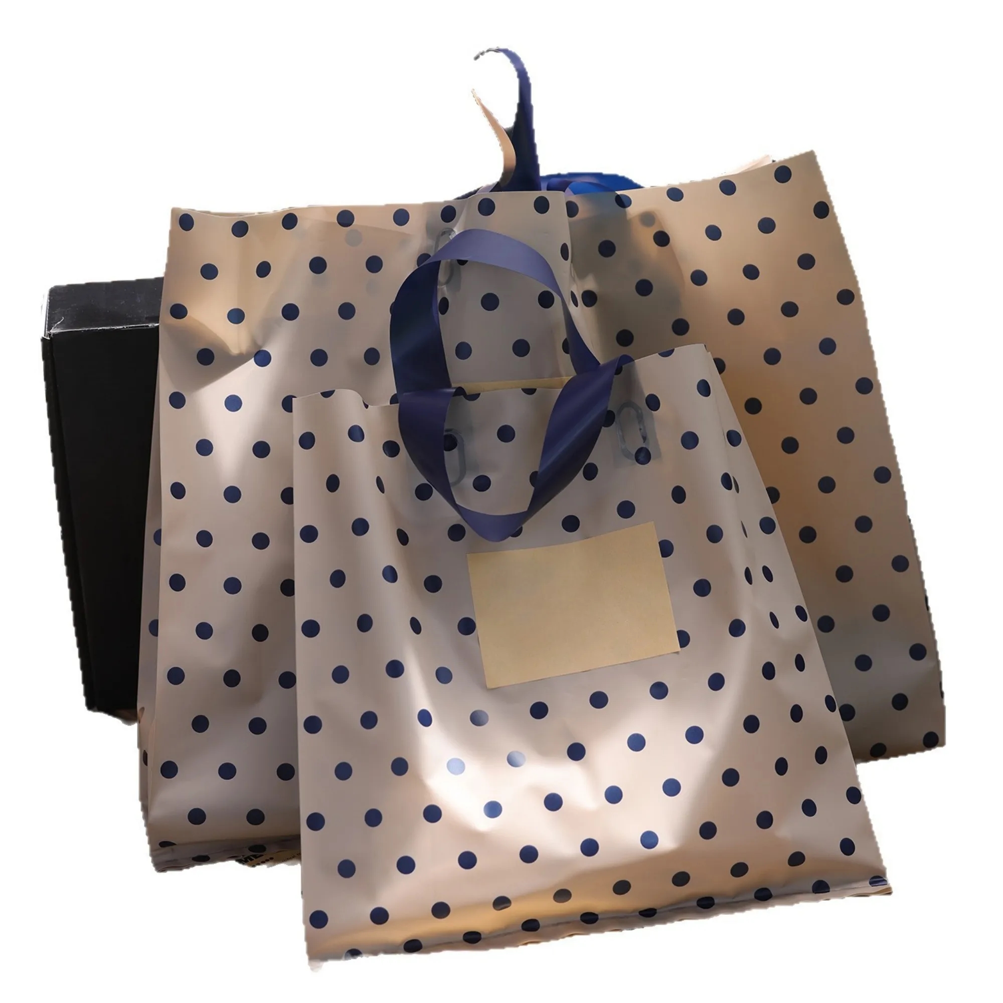 Polka Dot Frosted Bag Gift Clothing Store 2